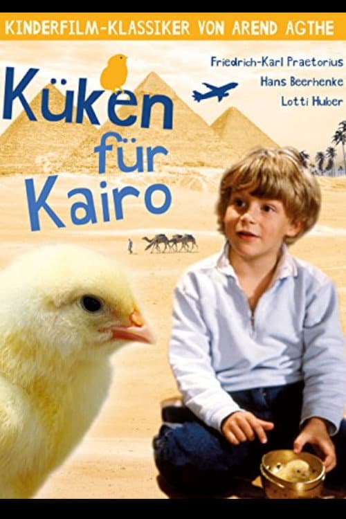 KÃ¼ken fÃ¼r Kairo