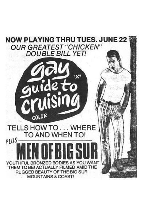 A Gay Guide to Cruising