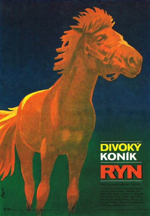 DivokÃ½ konÃ­k Ryn