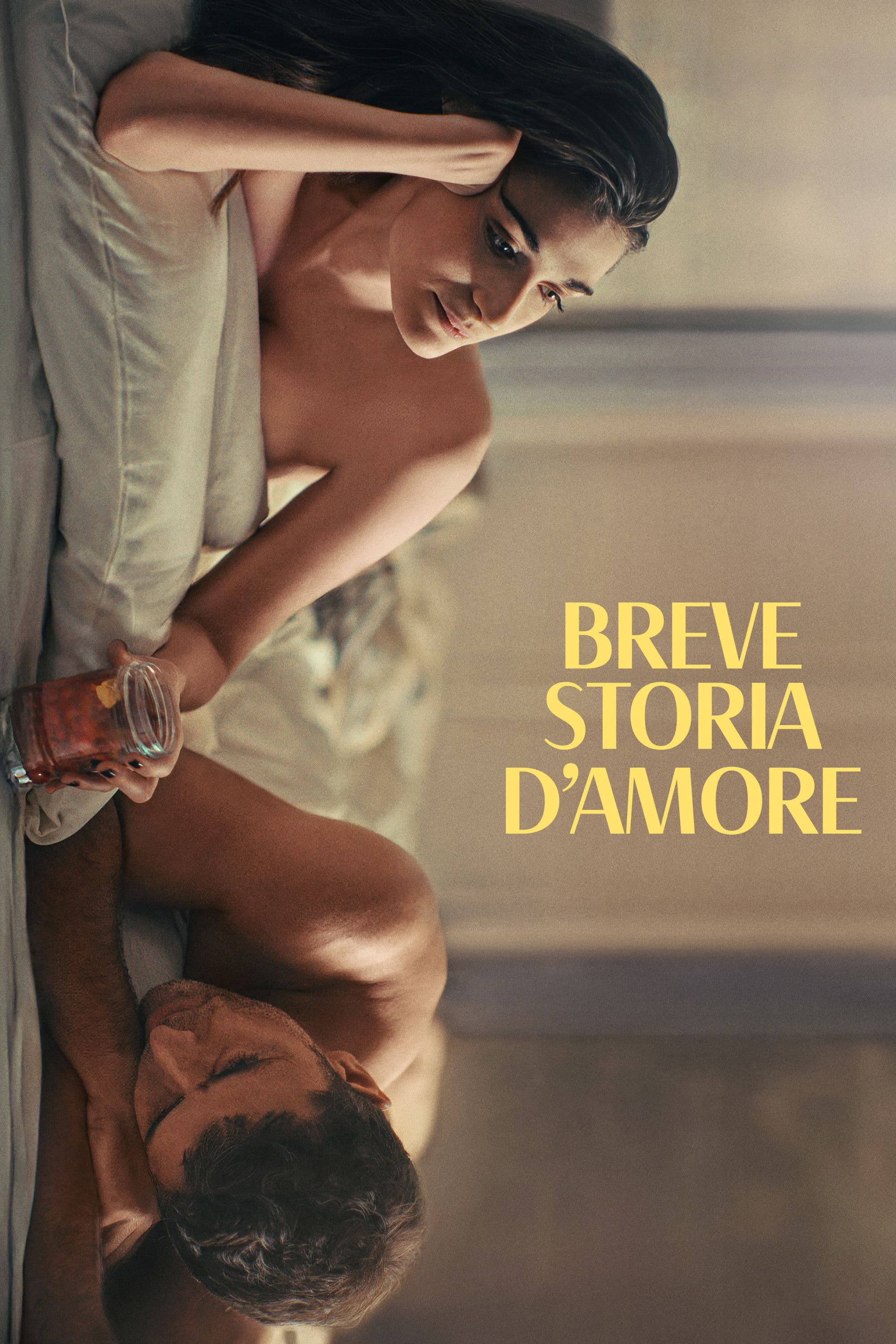 Breve storia d'amore