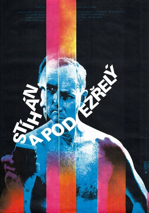 StÃ­hÃ¡n a podezrelÃ½