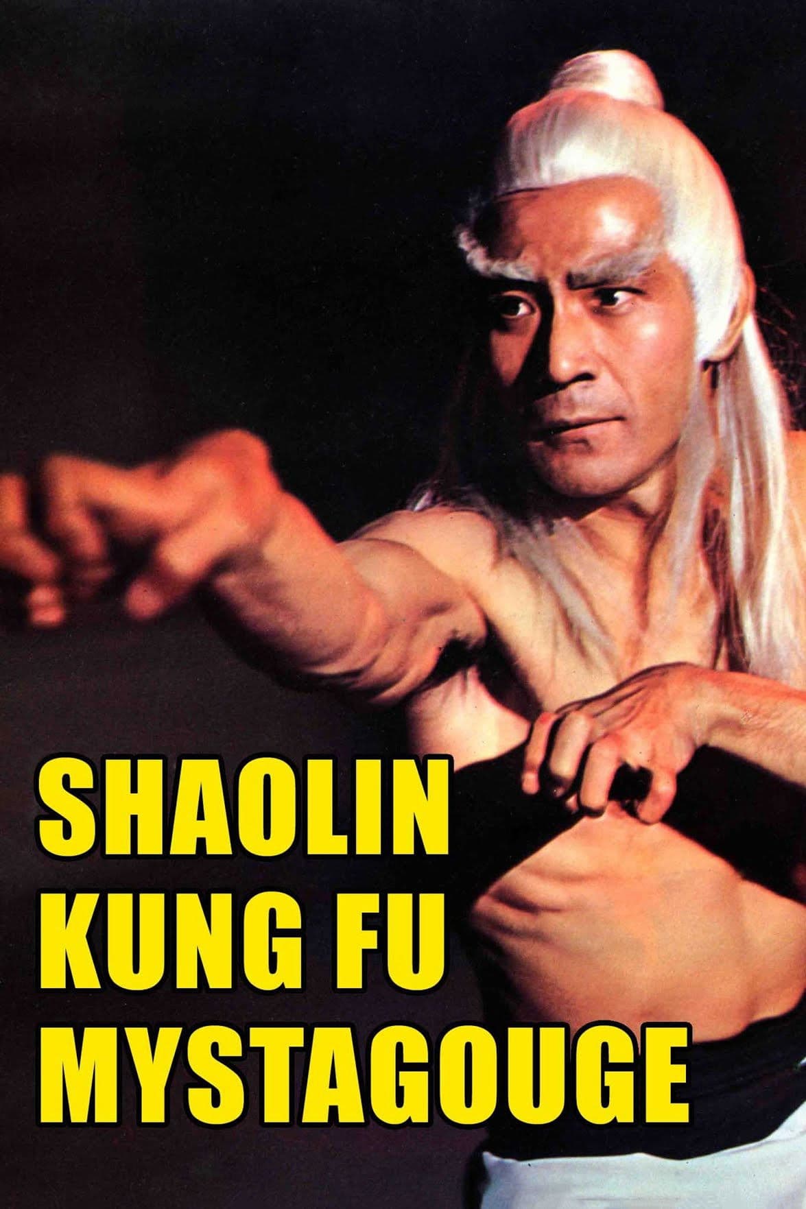 Shao Lin Kung-Fu Mystagogue