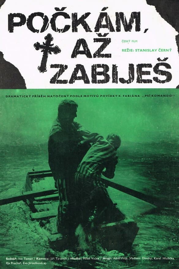 Pockam, az zabijes