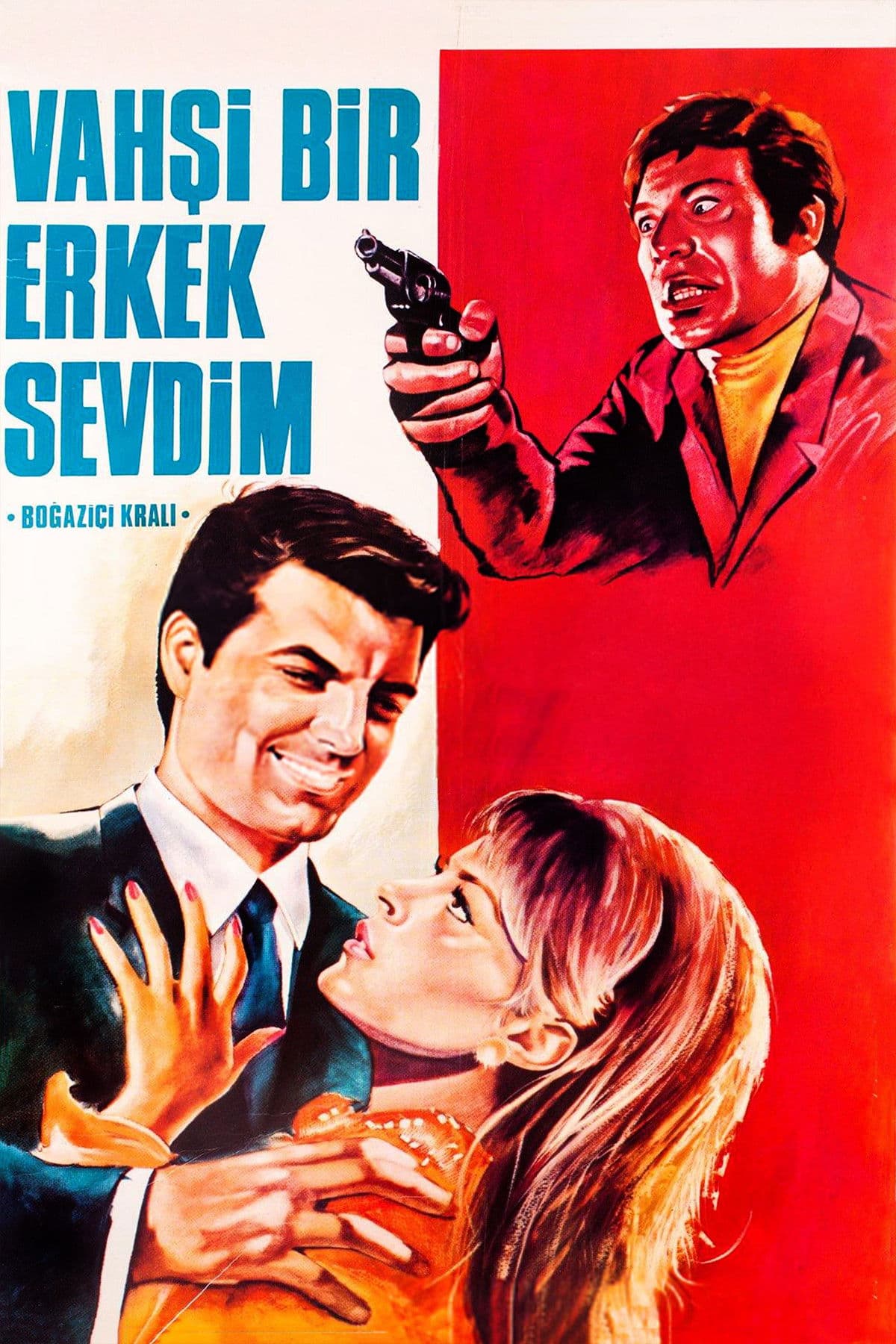 Vahsi bir erkek sevdim