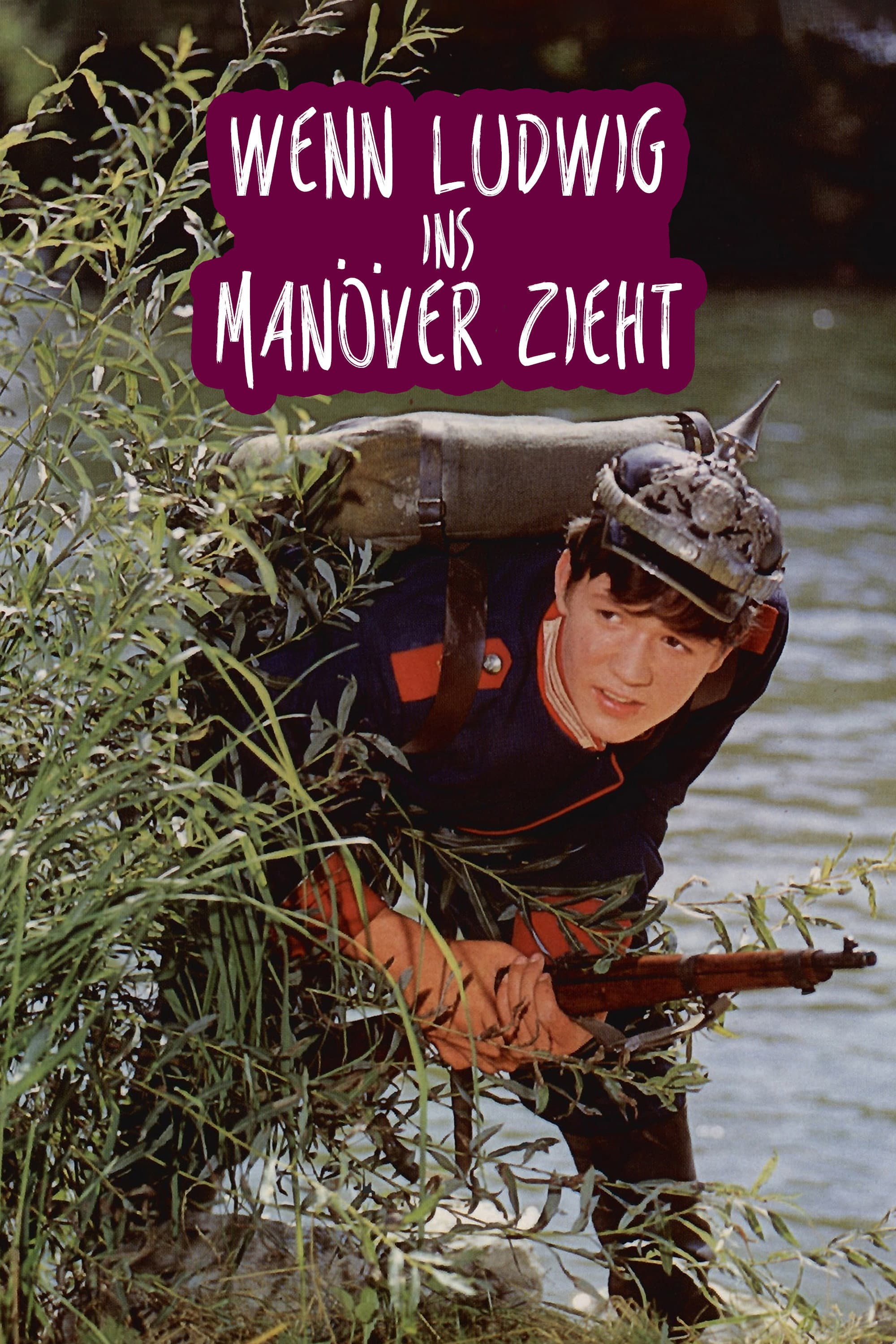 Wenn Ludwig ins ManÃ¶ver zieht