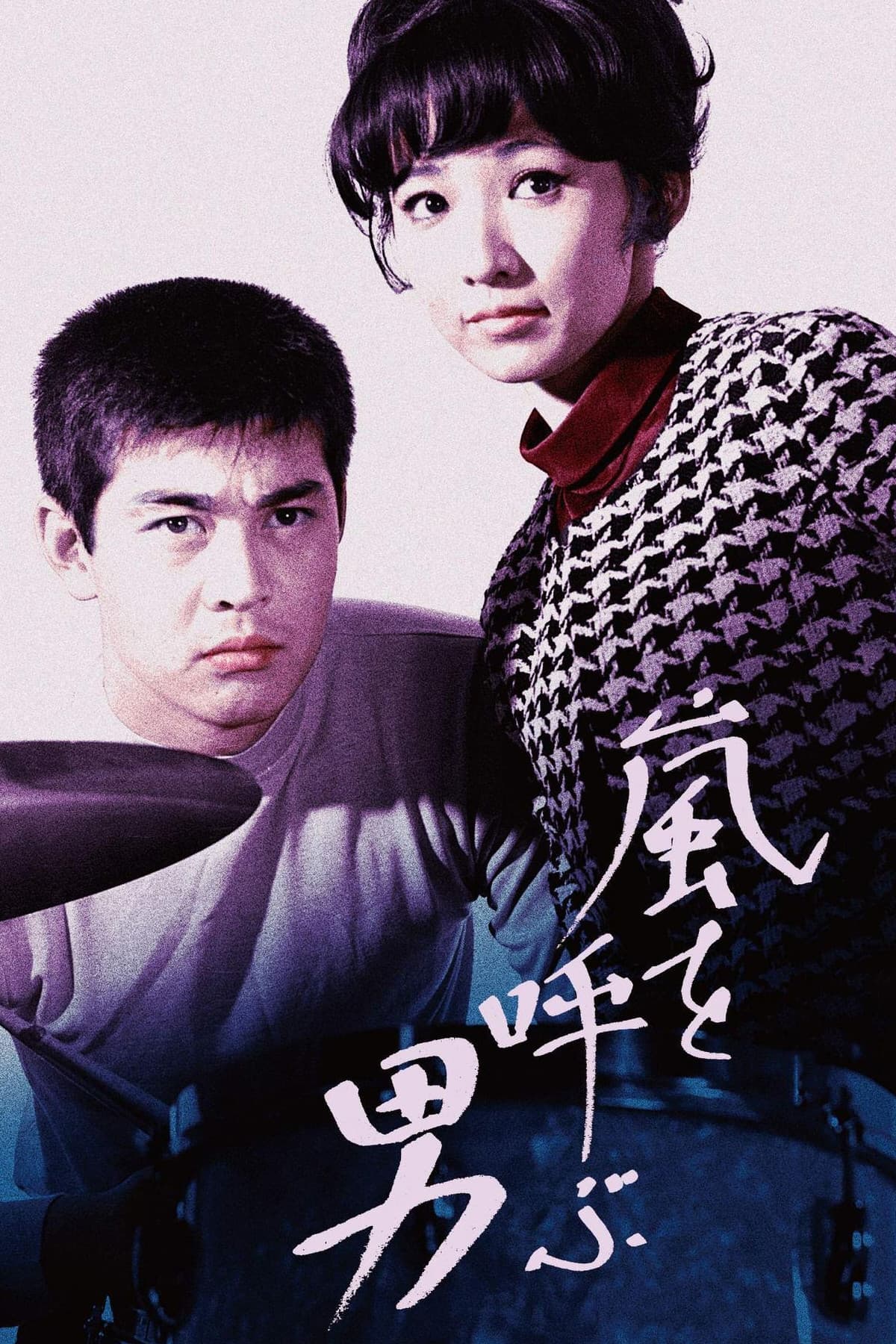 Arashi o yobu otoko