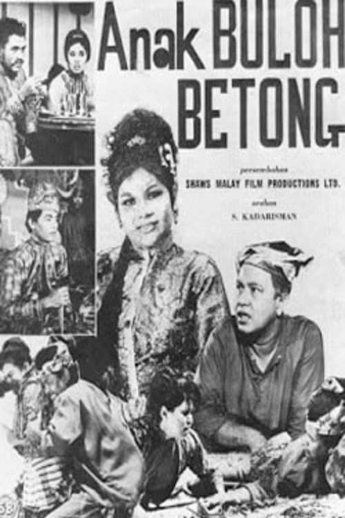 Anak buloh betong