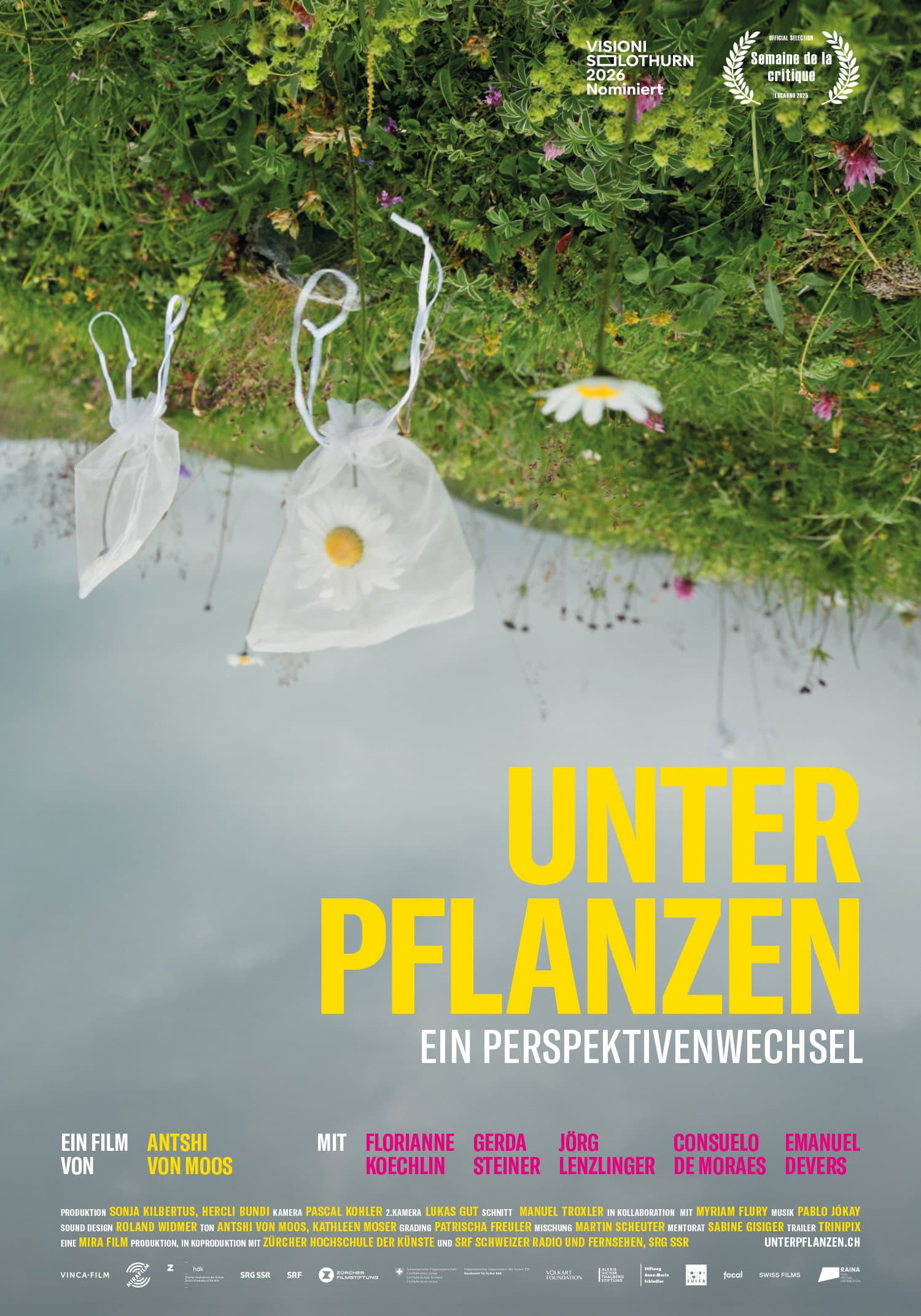 Flying Scents - of plants and people