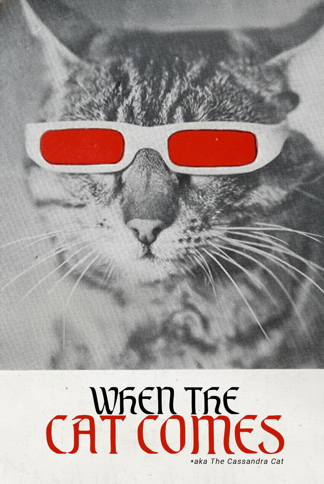 When the Cat Comes