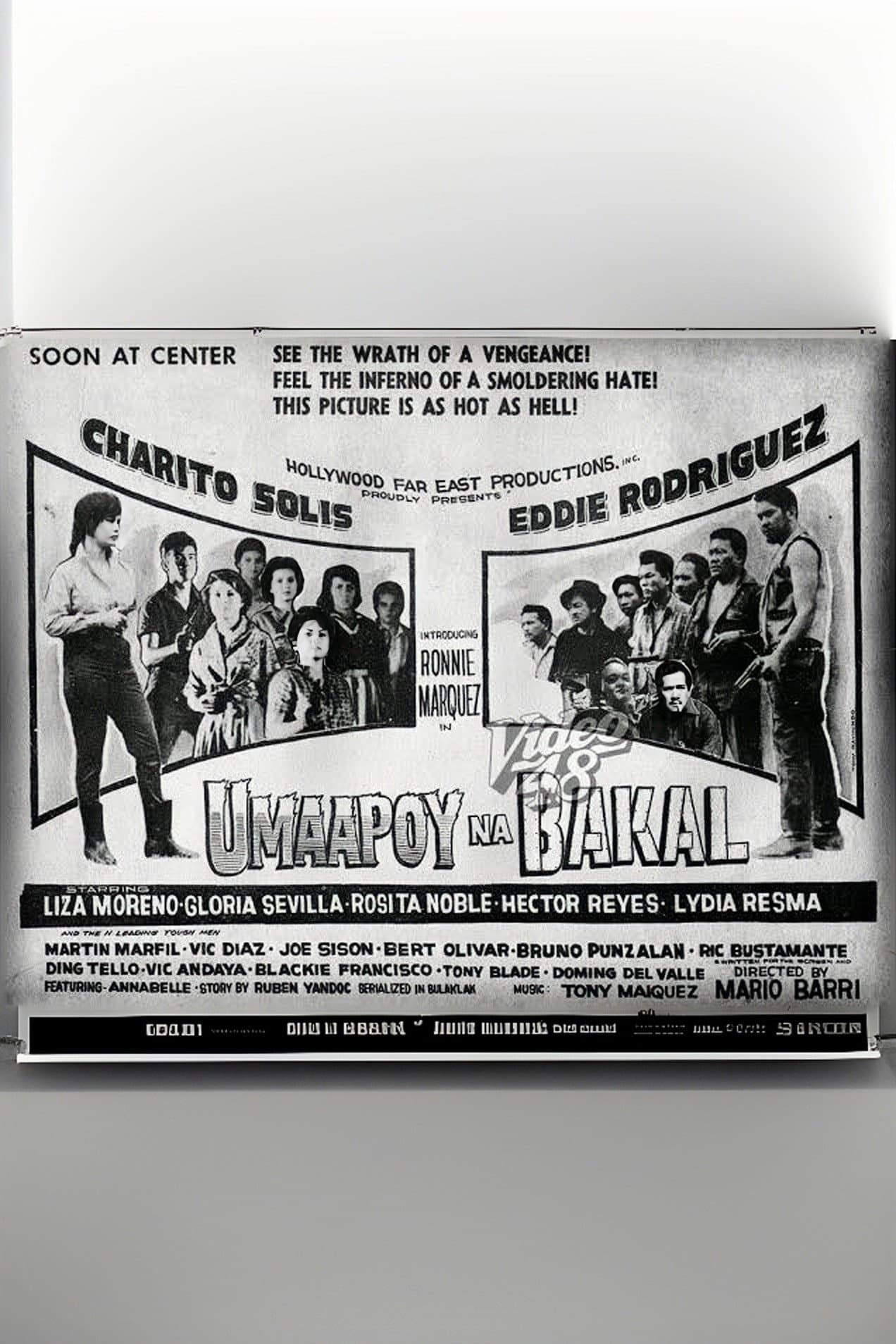 Umaapoy na bakal