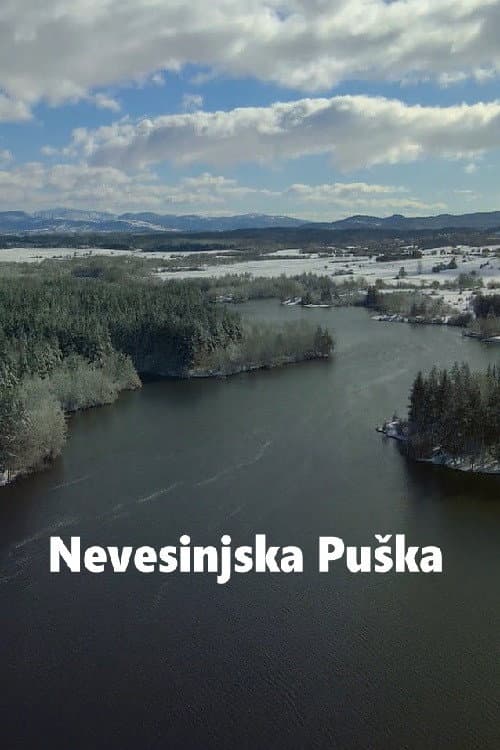 Nevesinjska puska