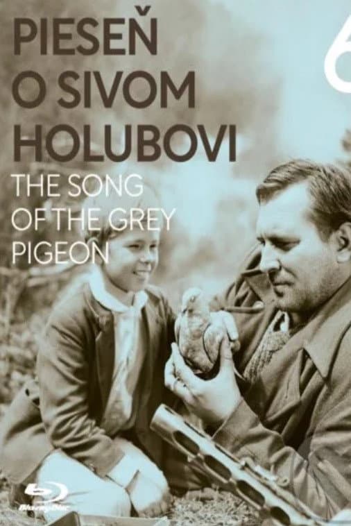 A Song About the Gray Pigeon