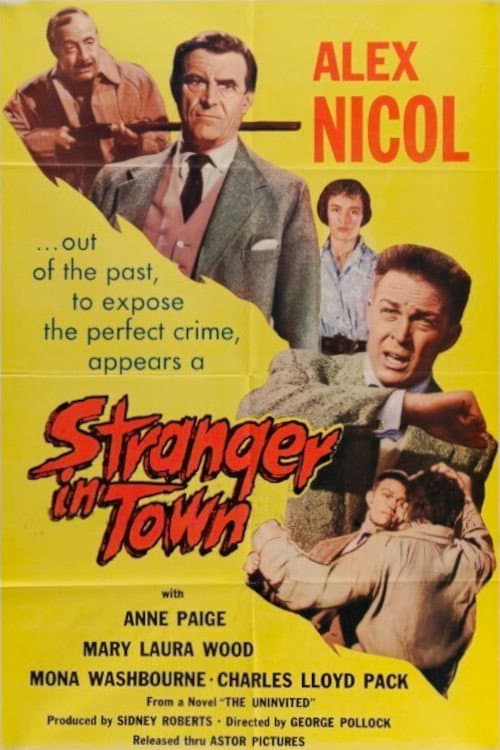 A Stranger in Town