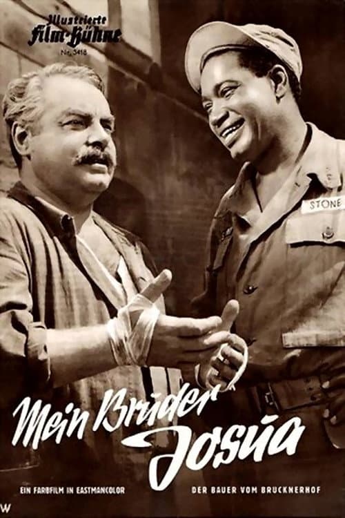Mein Bruder Josua