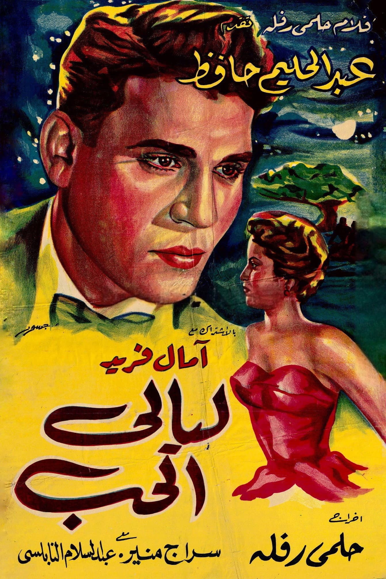 Nights of Love