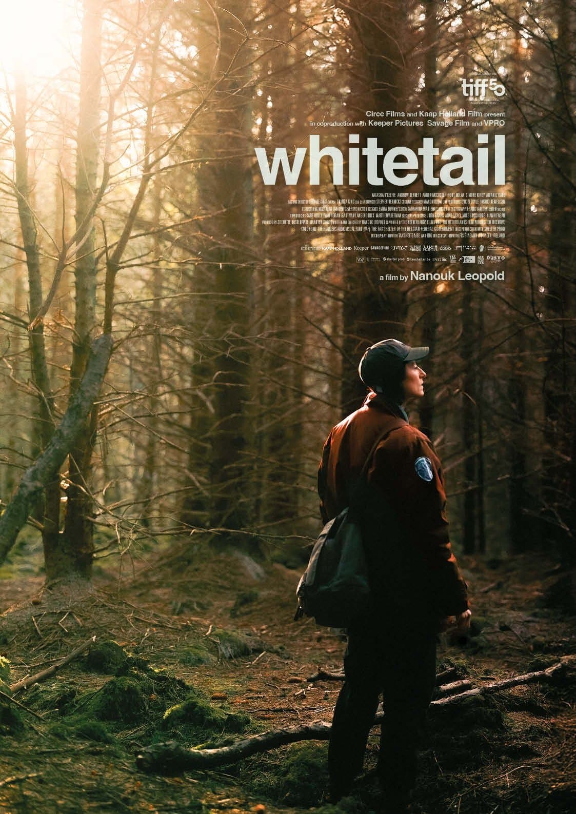Whitetail