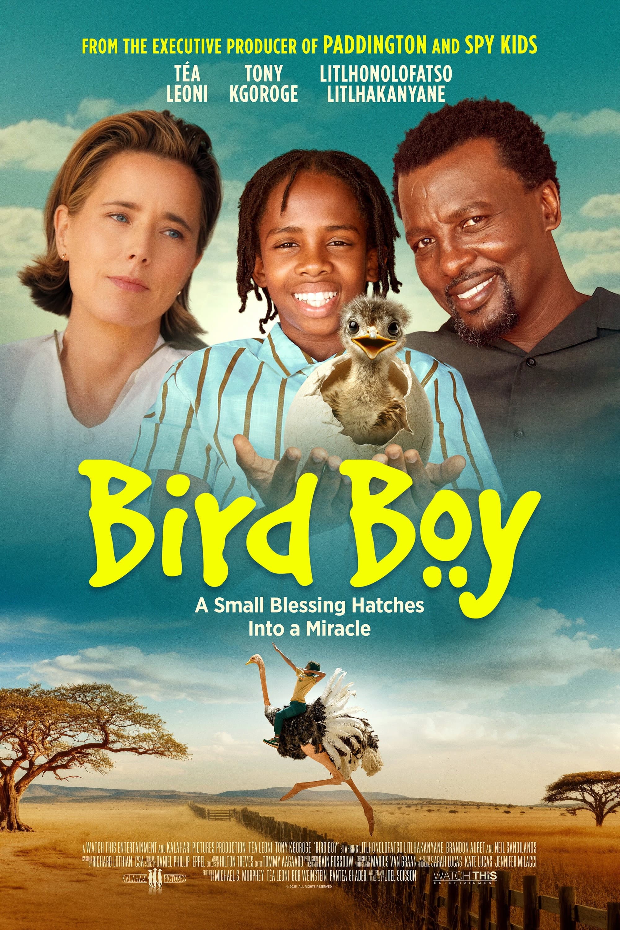Bird Boy