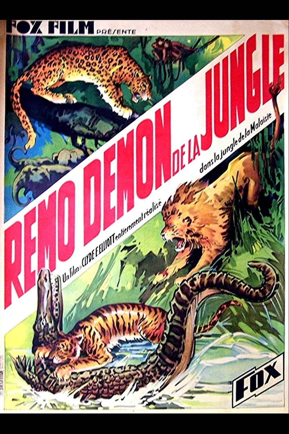 The Devil Tiger