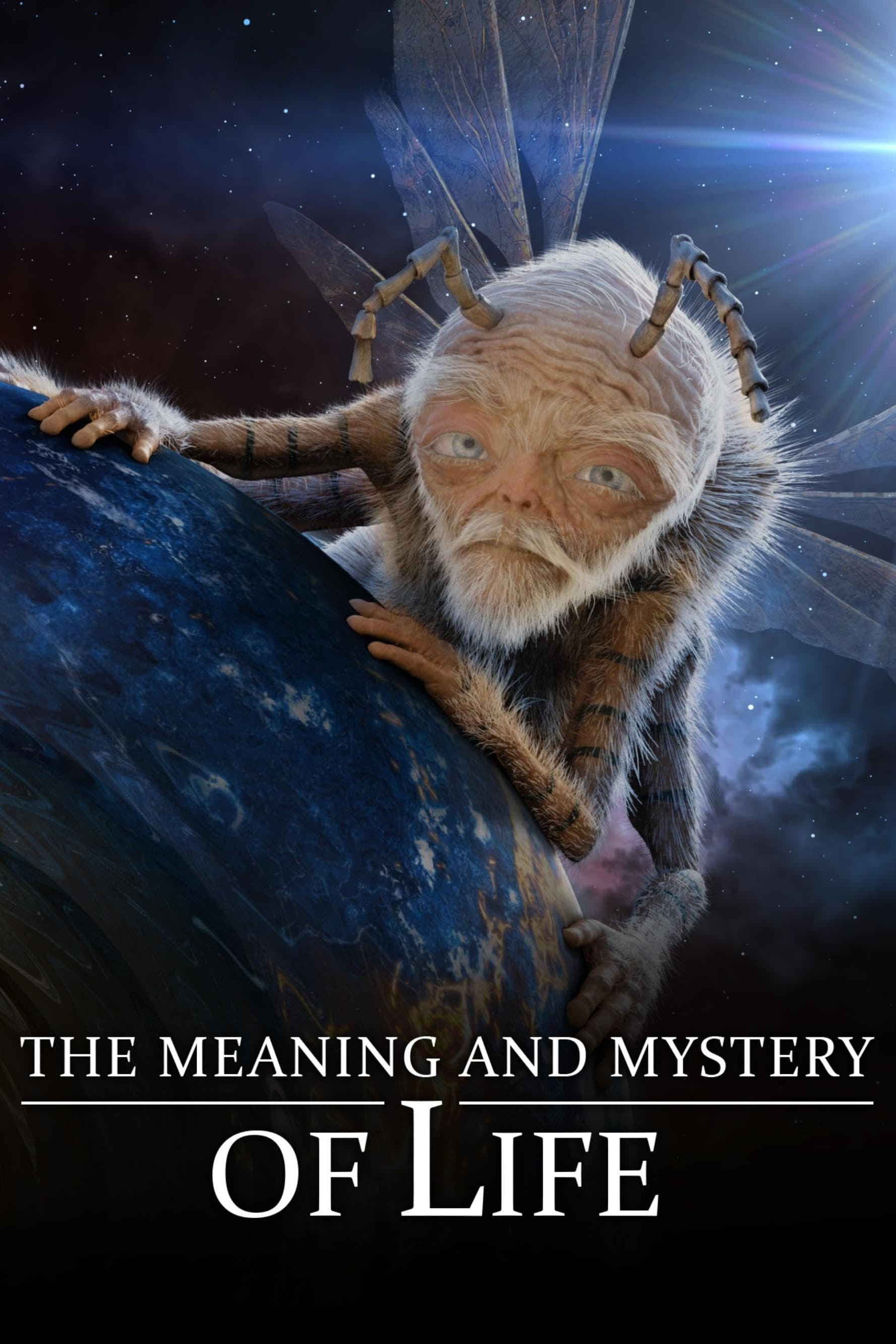 The Meaning and Mystery of Life