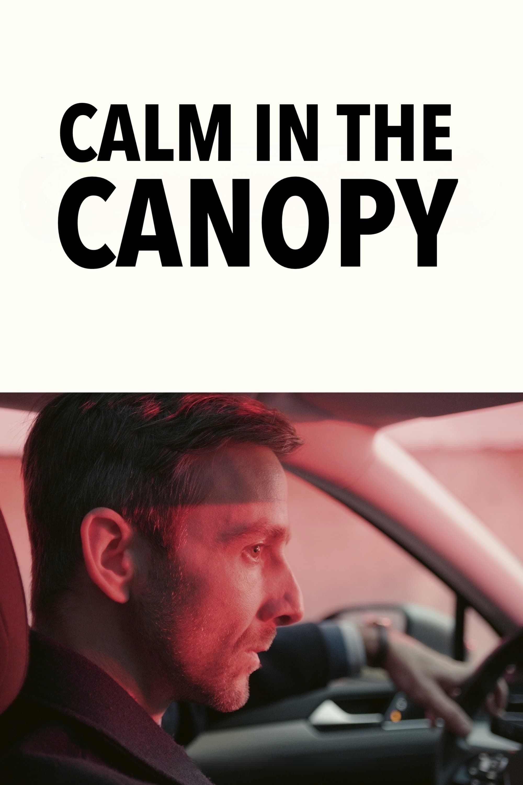 NocnÃ­ klid