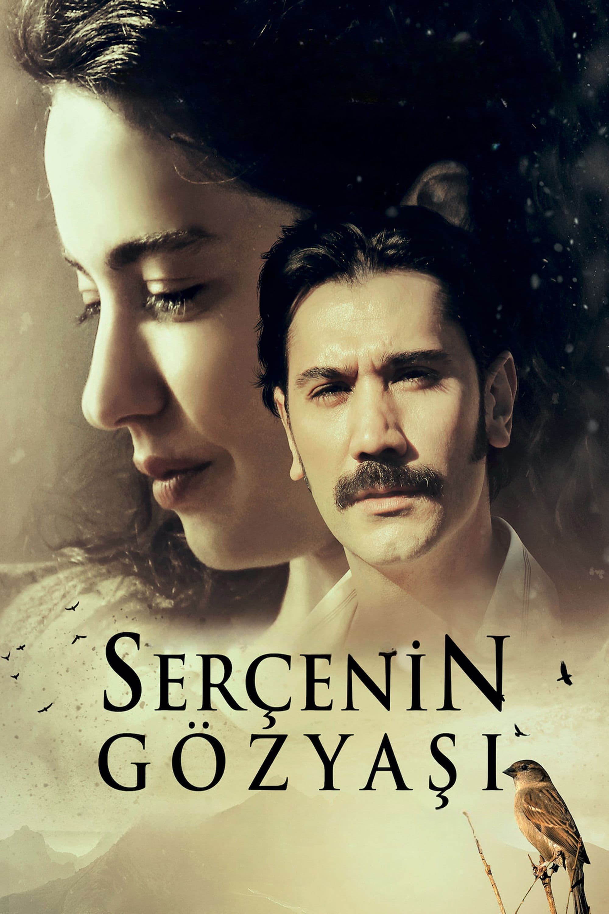 SerÃ§enin GÃ¶zyasi